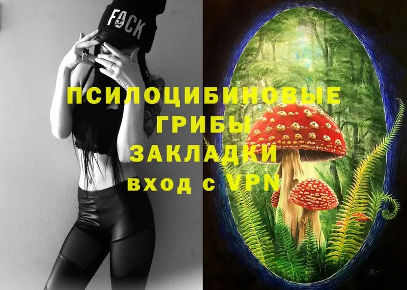 kraken сайт  Клинцы  Псилоцибиновые грибы MAGIC MUSHROOMS  цена  